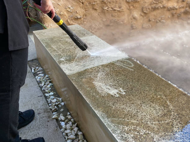 Best Roof Power Washing Services  in Union City, MI