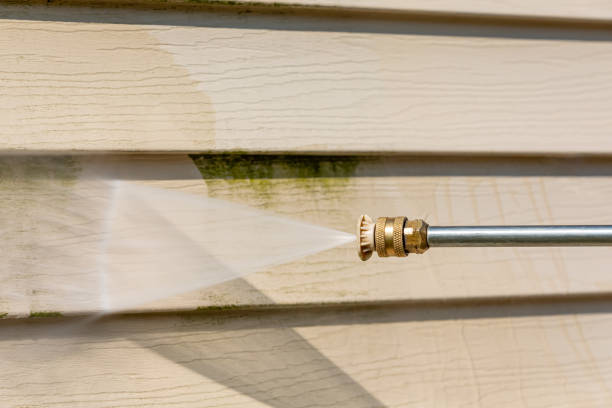 Best Pressure Washing Siding  in Union City, MI